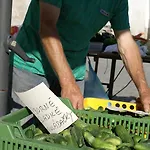 Letna בית הארחה