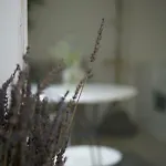 Letna בית הארחה Brandýs nad Labem-Stará Boleslav