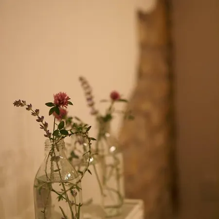 Letná Maison d'hôtes
