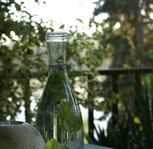 Guest house Letna Brandys nad Labem-Stara Boleslav