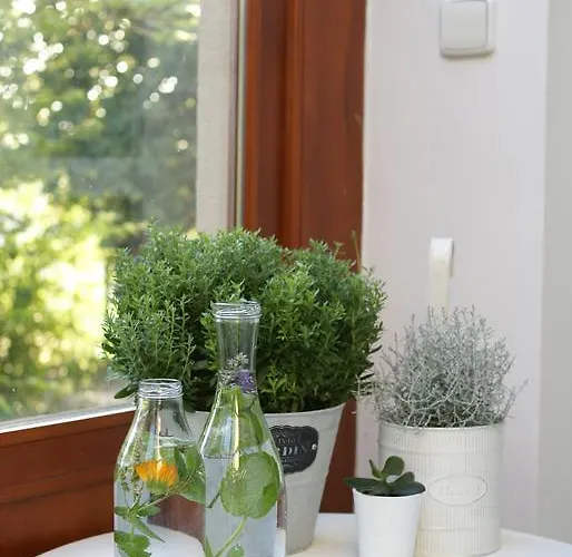 Guest house Letna 4*